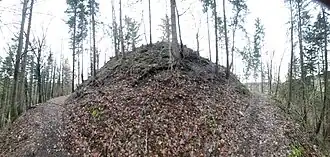 Burghügel und umlaufender Burggraben