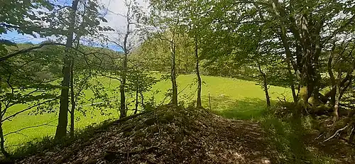 Blick vom Burgschell-Zugang Richtung Vorberg; links Turmreste, die zu beiden Seiten des Gratweges liegen