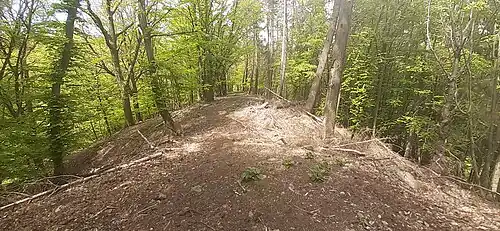 Der teils zugeschüttete Halsgraben