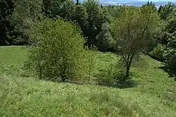 Bild 9: Die südöstliche Unterburg von der Stelle der Oberburg aus
