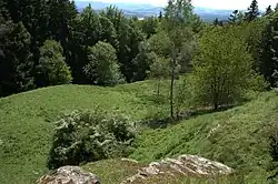 Bild 8: Die östliche Unterburg von der Stelle der Oberburg aus