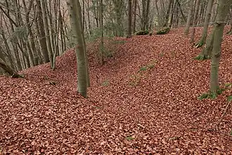 Bild 6: Vermutliche Kellergrube eines Gebäudes der Burg, rechts der Bildmitte L-förmiger Grundmauerrest (November&nbsp;2013)