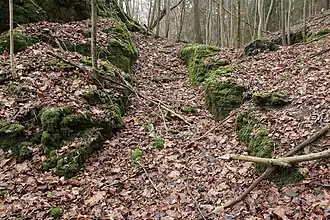 Bild 7: Grabenartige Vertiefung im Halsgraben (Dezember&nbsp;2014)