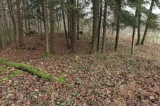 Bild 9: Nördliche Seite der Burgstelle (Dezember&nbsp;2014)