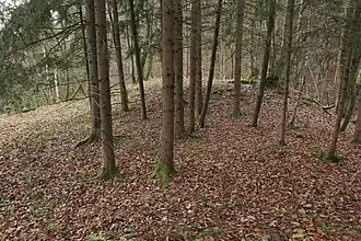 Bild 8: Blick über die leicht erhöhte südöstliche Seite der Burgstelle (Dezember&nbsp;2014)