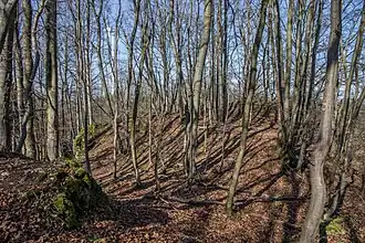 Bild 3: Nördlicher Teil des Burgfelsens und zentrale Einmuldung (März&nbsp;2015)