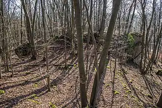 Bild 4: Südlicher Teil des Burgfelsens und zentrale Einmuldung (März&nbsp;2015)