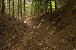 Bild 3: Blick in den tiefen südwestlichen Teil des Ringgrabens, links Hang des aus dem Gelände geschnittenen Burghügels