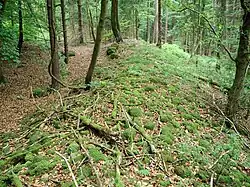 Bild 3: Östlicher Teil des Ringwalls, links die Vorburg