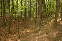 Bild 4: Blick in den Halsgraben, links der Wall, möglicherweise eine frühere Schildmauer, der Vorburg