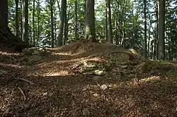 Letzte obertägig sichtbare Mauerreste der Burg