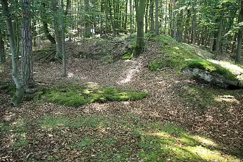 Bild 4: Geländestufe, die den Bereich der Burg in zwei Ebenen teilt