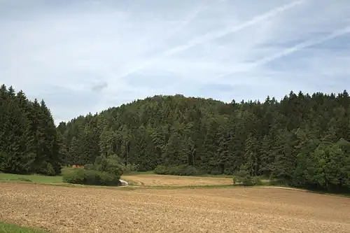 Bild 2: Ansicht des Burgberges von Südwesten