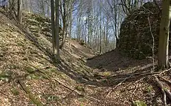 Blick in den Halsgraben, rechts die Burgfläche