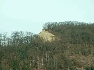 Der ehemalige Steinbruch am Westrand des Finnberges