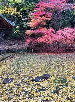 Platz neben der ersten Halle