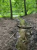 Der Butzbach versiegt im Bieselwald