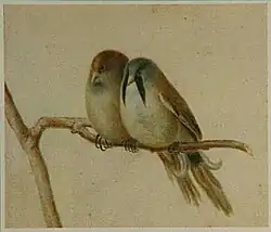 Zwei Bartmeisen auf einem Ast, 1820