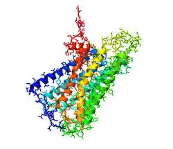 Cannabinoid-Rezeptor 1