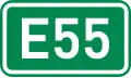 E55