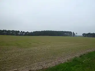 Blick aus Richtung der Straße zwischen Mannhausen und Velsdorf zum Rosenberg