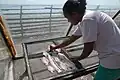 In der Sonne werden die Fische zum Trocknen ausgelegt