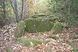 Allée couverte von Lobo