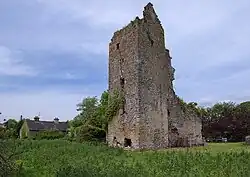 Bourke’s Castle bei Borrisoleigh