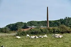 Die Ziegelei Cathrinesminde beim Iller Strand.