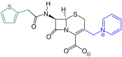 Cefaloridin