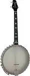 Gold Tone 4-saitiges Cello Banjo