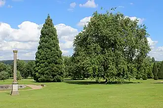 Partie im Landschaftsgarten