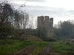 Ruinen der Burg Tannay
