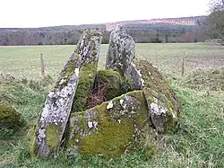 Die Doppelanlage von Ballyrenan