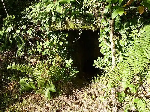 Megalithische Grabkammer in La Courarie