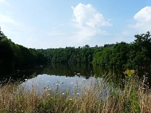 Der Étang Petits Moulins