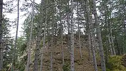 Überreste der Burg Chapieu