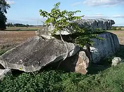 Dolmen Pierre couverte (Beaupreau)