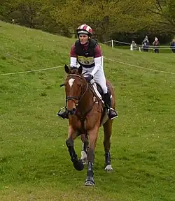 Blyth Tait auf Bear Necessity (2015)