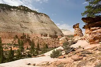 Checkerboard Mesa Canyon