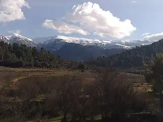 Djebel Chélia, 2009