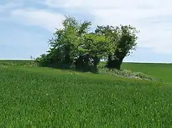 Dolmen de la Pierre Folle