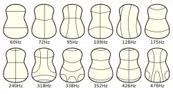 Eine Übersicht über mit 14 Schemata einer Gittarenrückseite mit eingezeichneten Chladni Klanglinien