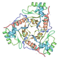 Chloramphenicol-Acetyltransferase