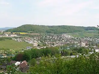 Blick auf den Cholfirst von Neuhausen am Rheinfall mit Rhein und Flurlingen