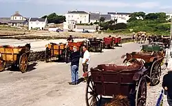 Pferdewagen für den Touristentransport