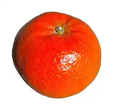 Mandarine