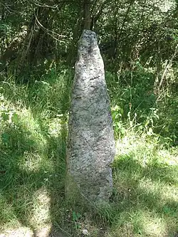 Menhir du Mont