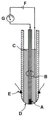 Schema einer Clark-Elektrode