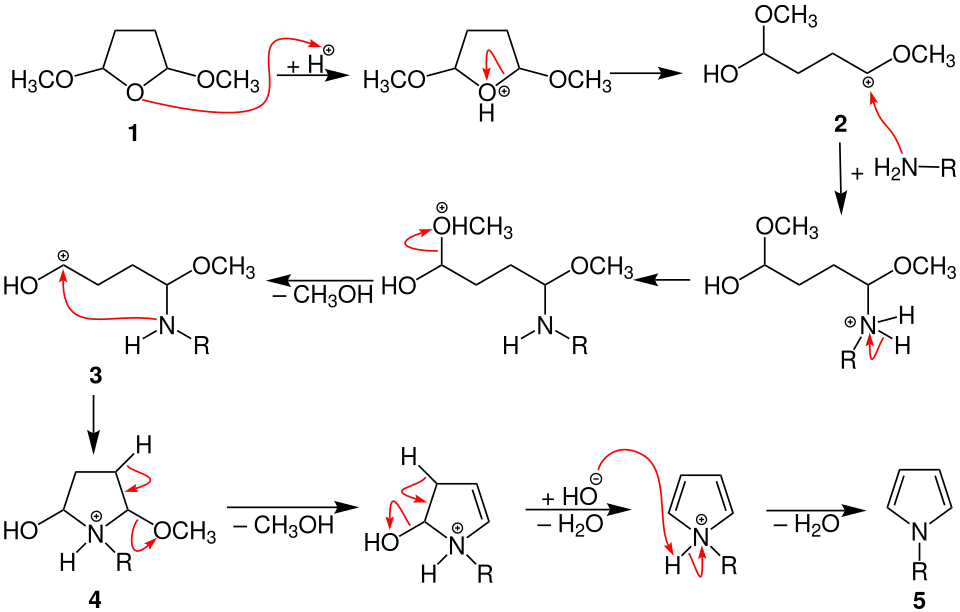 Clauson-Kaas Mechanismus